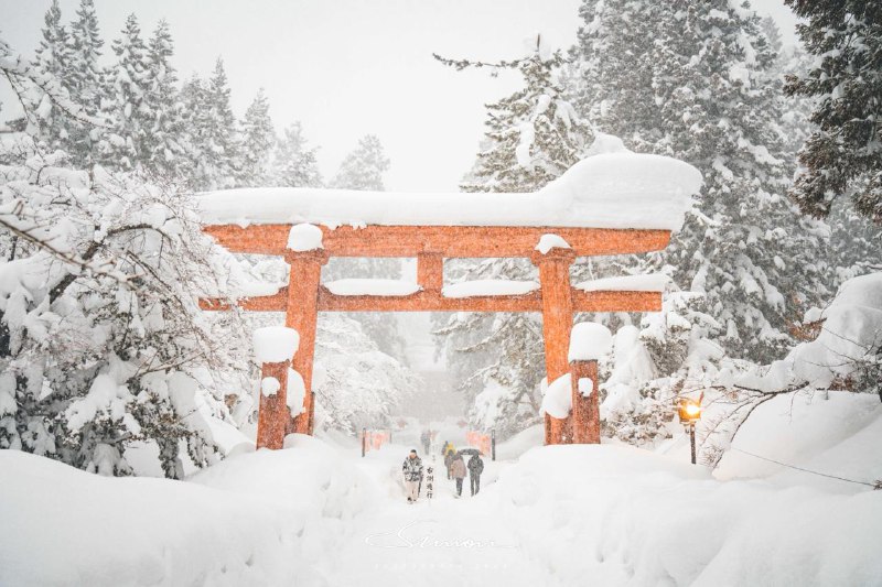 #Life #写真日本看雪的选择并非只有北海道，今年雪季我选择来到了青森