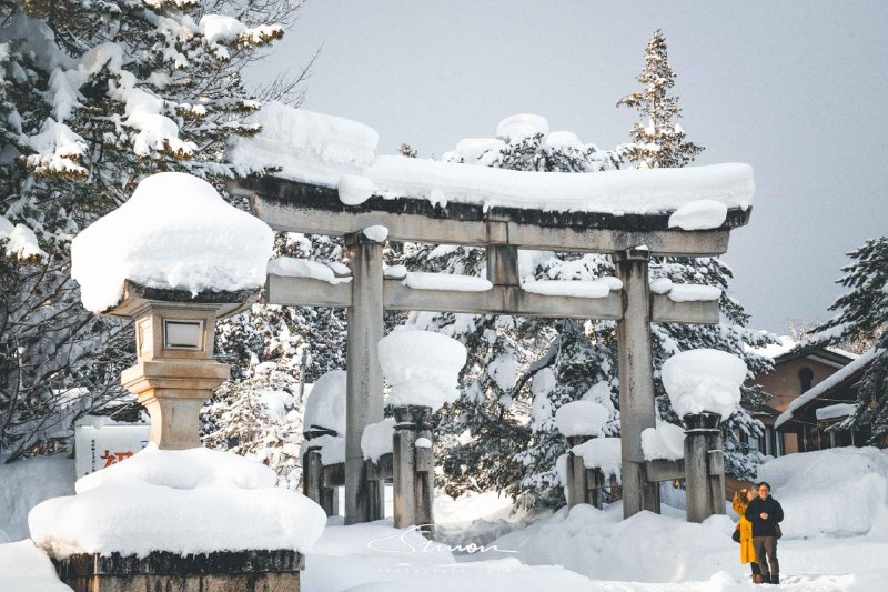 #Life #写真日本看雪的选择并非只有北海道，今年雪季我选择来到了青森