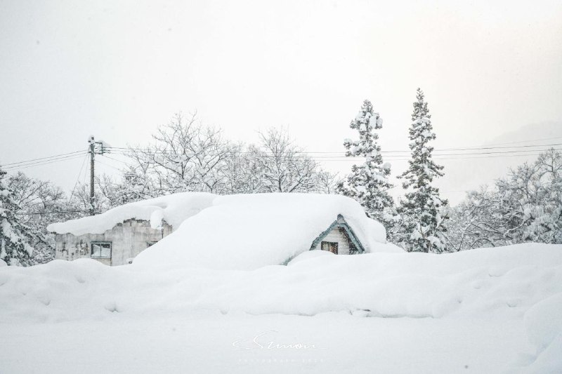 #Life #写真日本看雪的选择并非只有北海道，今年雪季我选择来到了青森