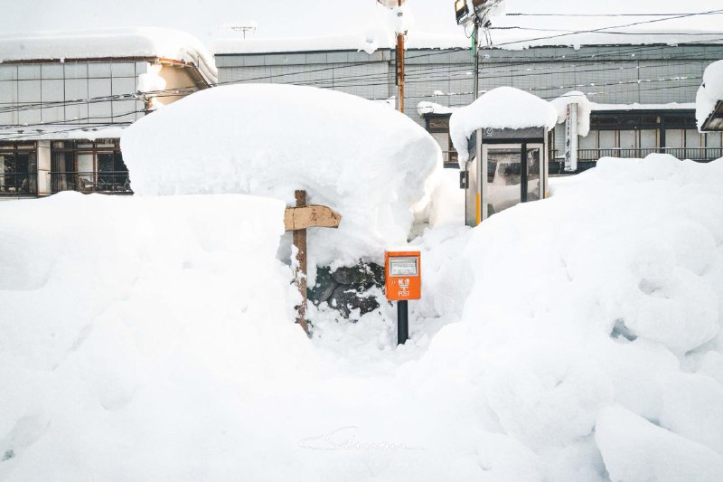 #Life #写真日本看雪的选择并非只有北海道，今年雪季我选择来到了青森