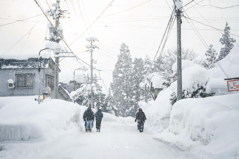 #Life #写真日本看雪的选择并非只有北海道，今年雪季我选择来到了青森